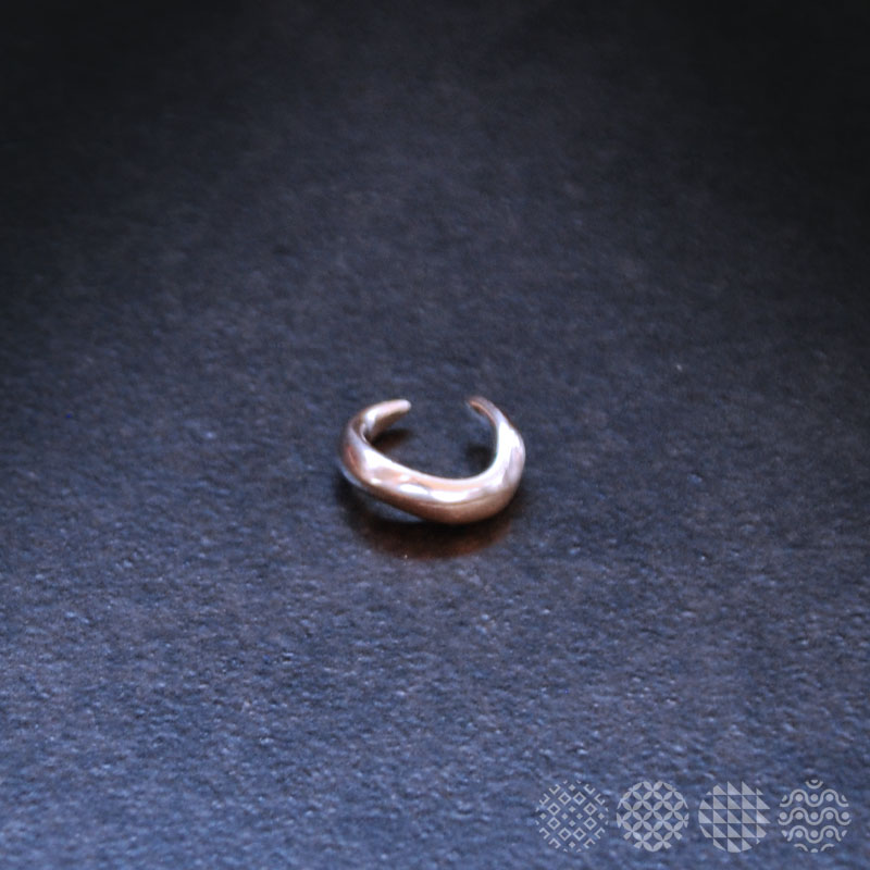 231_EAR-2
